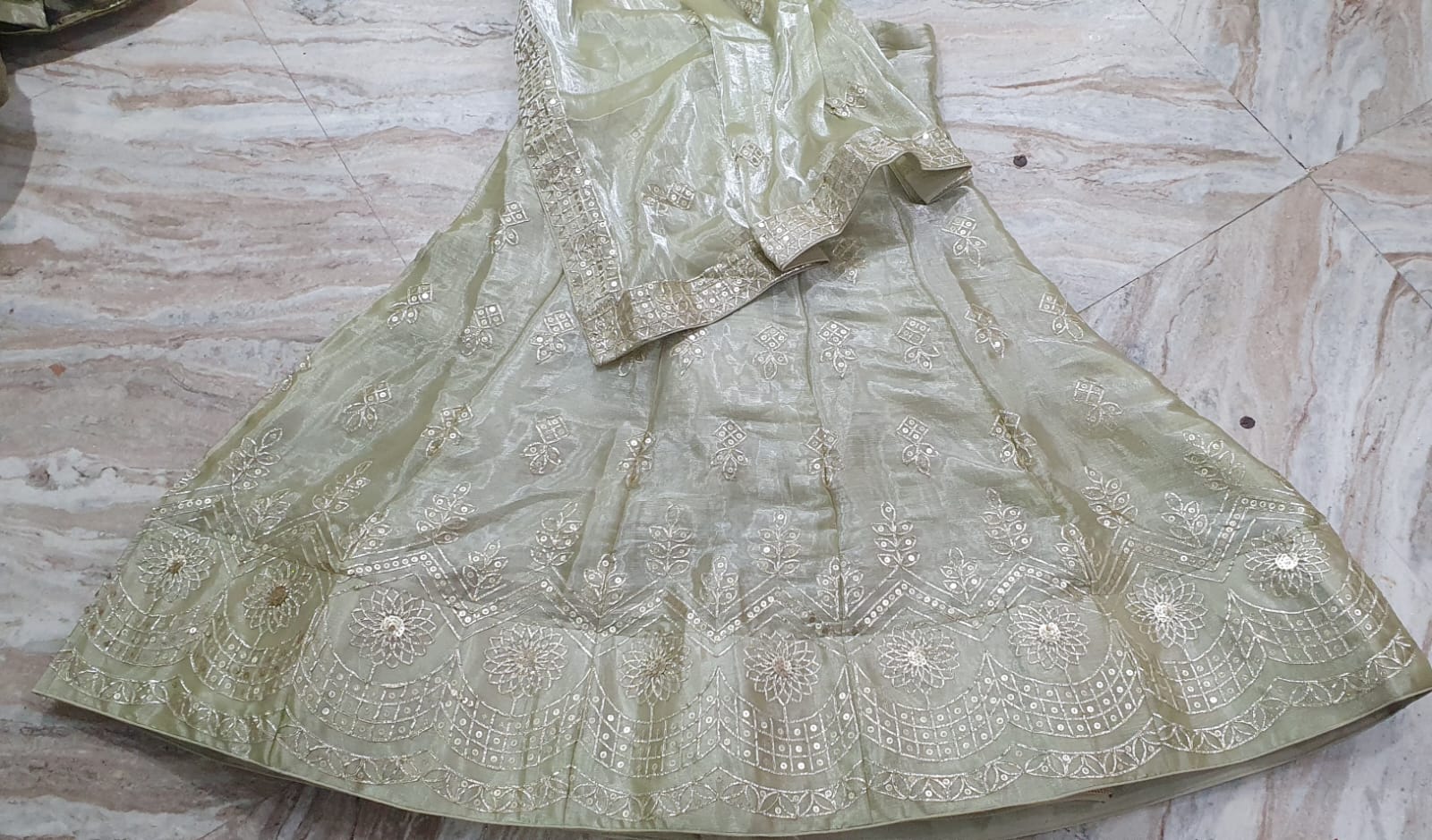 Organza Silk Lehenga with Golden Hand Embroidery & Floral Border”